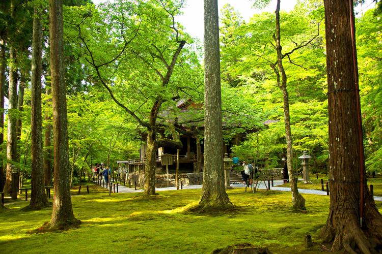 三千院