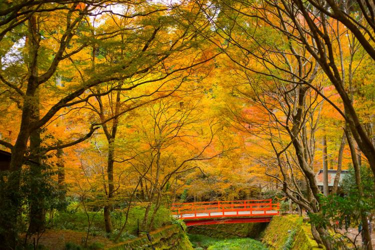 三千院