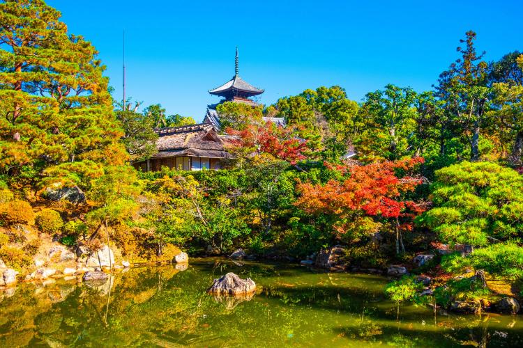 仁和寺