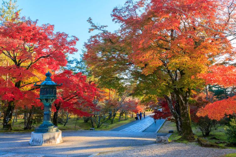 仁和寺