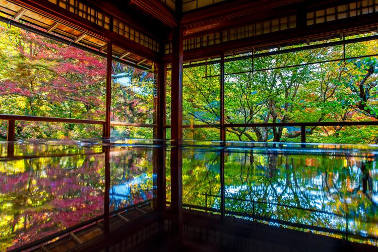 瑠璃光院