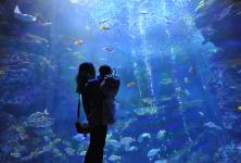 京都水族館