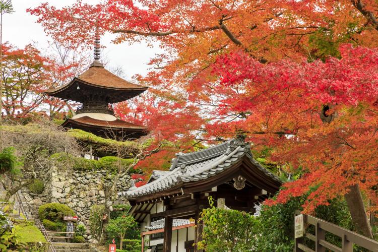 善峯寺