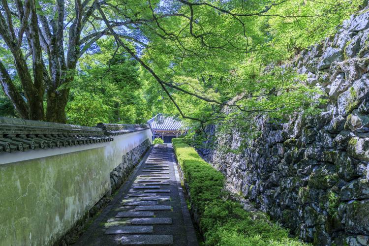 善峯寺