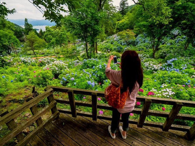 舞鶴自然文化園