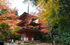 浄瑠璃寺