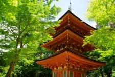 浄瑠璃寺