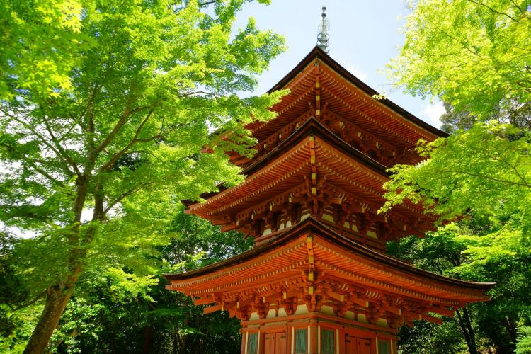 浄瑠璃寺