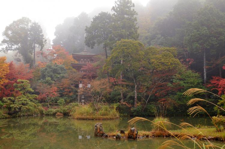 浄瑠璃寺