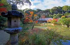 浄瑠璃寺