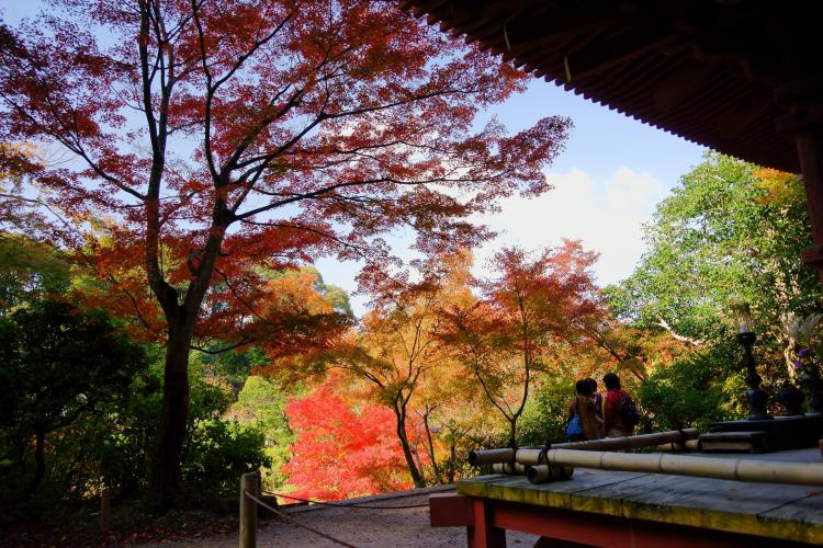 浄瑠璃寺