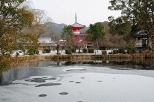 大覚寺（旧嵯峨御所）