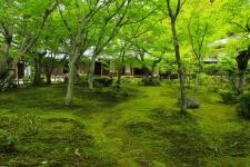 圓光寺