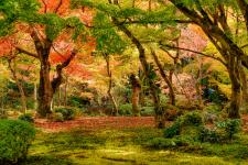 圓光寺