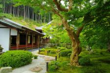 圓光寺