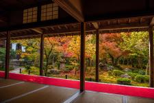 圓光寺