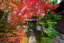 金福寺