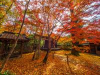 蓮華寺