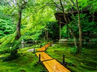 蓮華寺