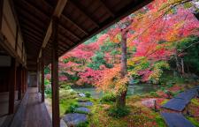 蓮華寺