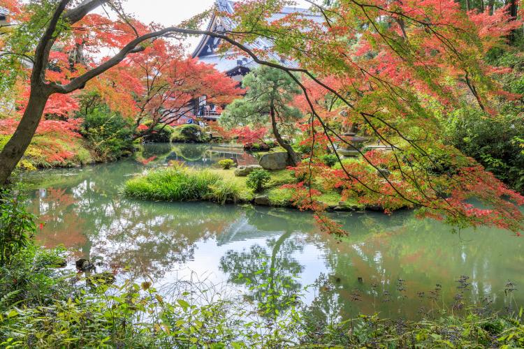 金戒光明寺