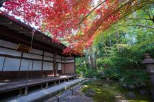 栄摂院