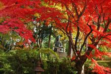 栄摂院