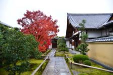 興臨院