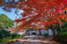 養源院