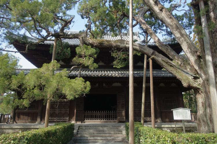 大徳寺