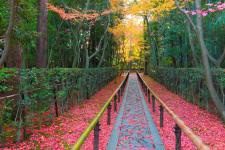 大徳寺高桐院