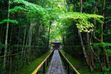 大徳寺高桐院
