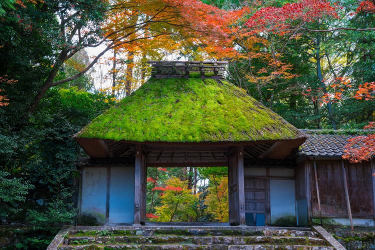 法然院