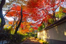 嵯峨鳥居本伝統的建造物群保存地区