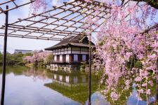 平安神宮神苑