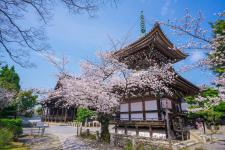 本法寺