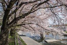 鴨川公園
