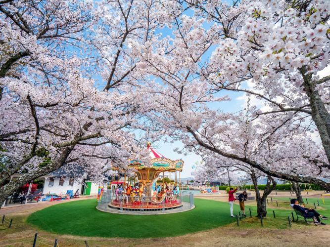 天橋立ビューランド