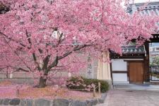 長徳寺