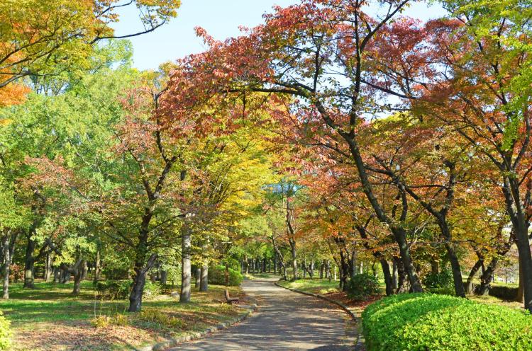 大阪城公園/西の丸庭園