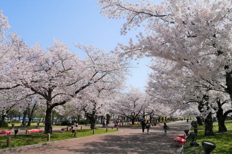 万博記念公園