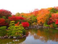 万博記念公園