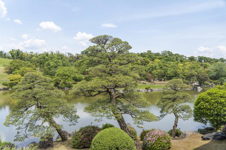 万博記念公園