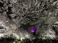 万博記念公園