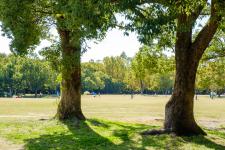 万博記念公園