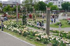 若園公園
