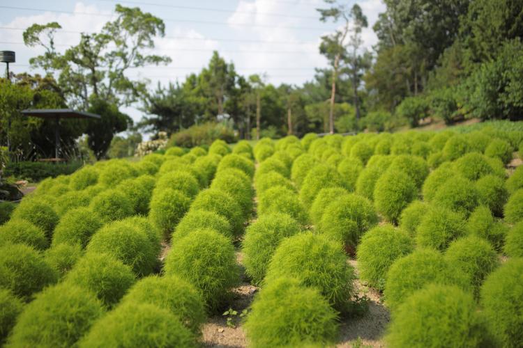 服部緑地都市緑化植物園