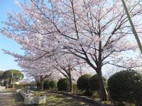 五月山公園（五月山緑地）