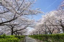 南天満公園