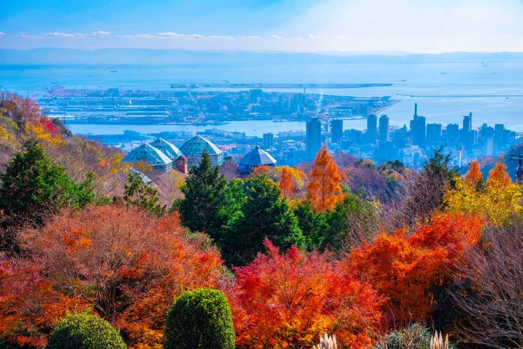 神戸布引ハーブ園